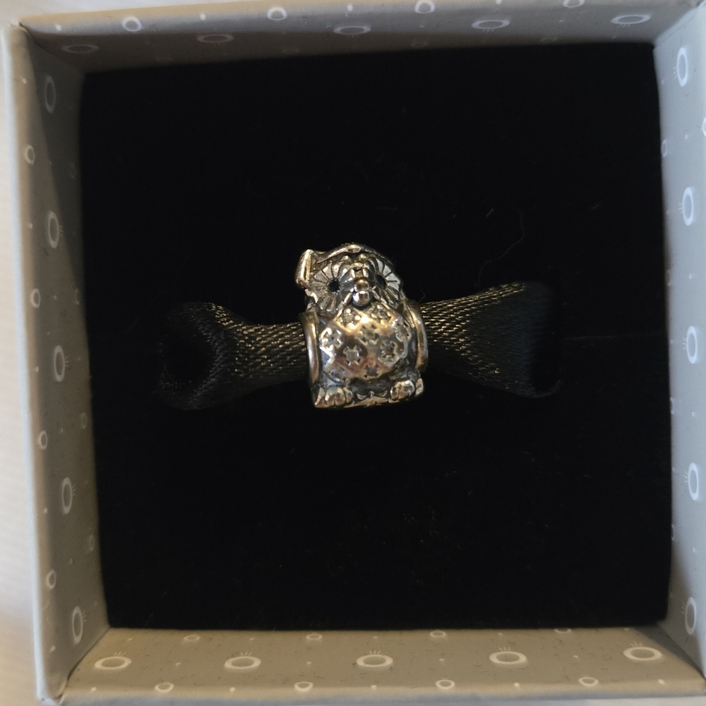 Pandora Graduatuon Owl Bracelet Charm